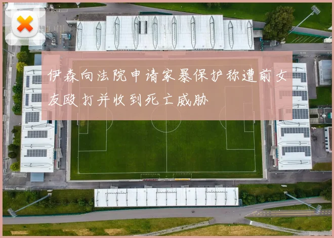 伊森向法院申请家暴保护称遭前女友殴打并收到死亡威胁