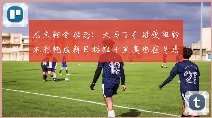 尤文转会动态：大马丁引进受阻铃木彩艳成新目标维卡里奥也在考虑中