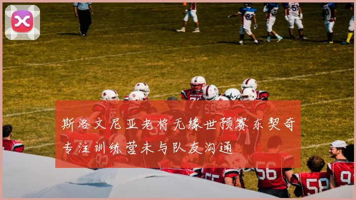 斯洛文尼亚老将无缘世预赛东契奇专注训练营未与队友沟通